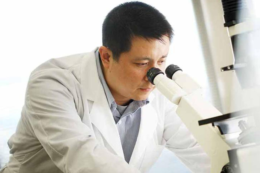 Looking through microscope