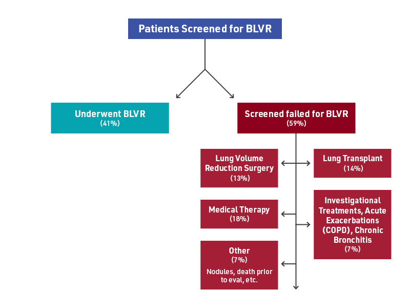 Lung screening graphical chart
